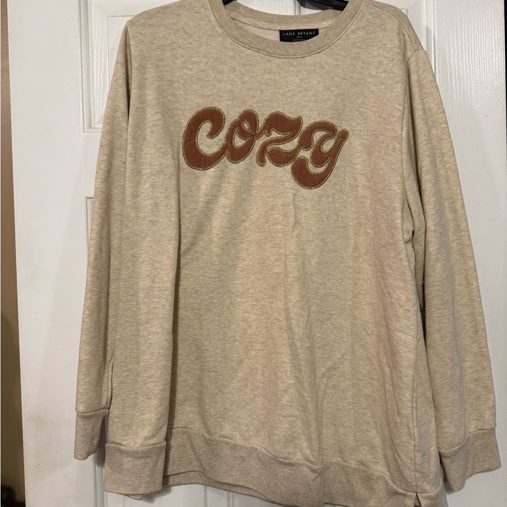 Lane Bryant Beige Knit Top